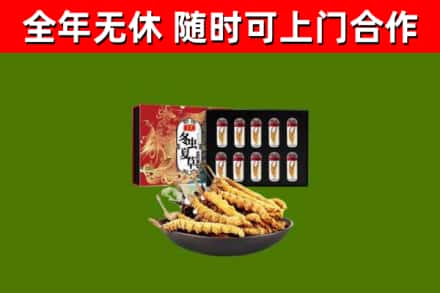 富源县回收冬虫夏草价格